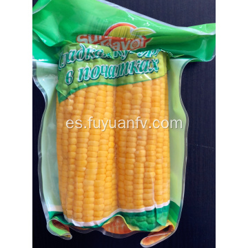 Fresh hotsale sweet corn dos piezas juntas